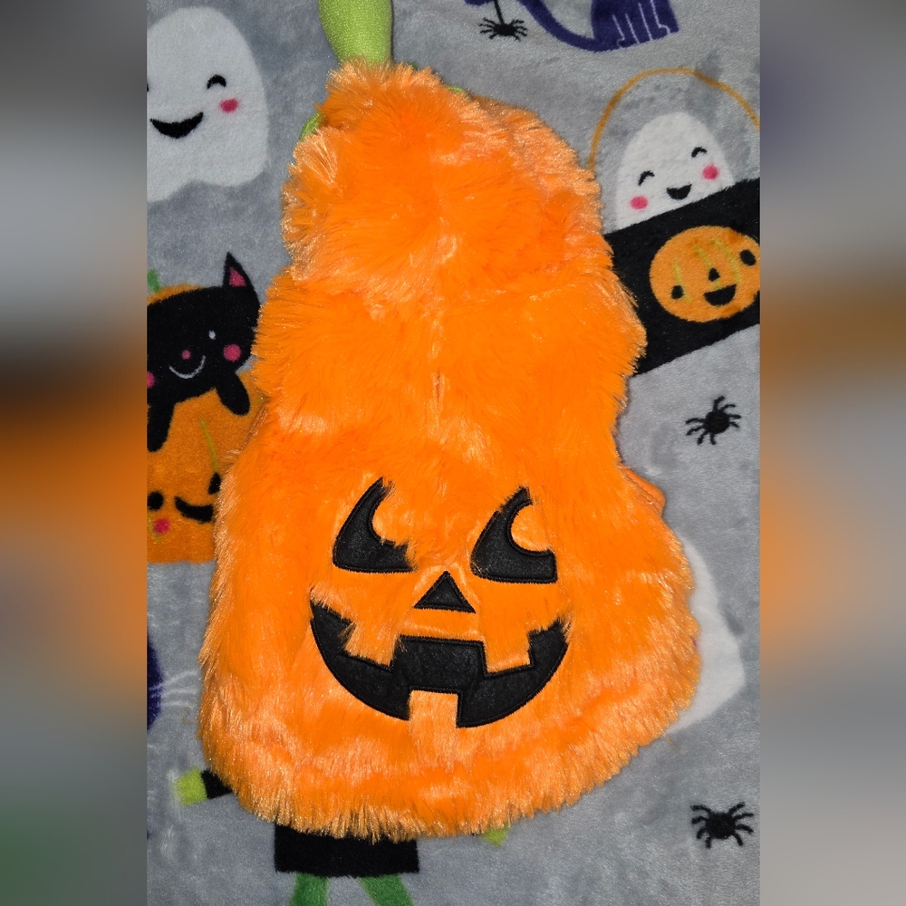 XS Fluffy Pumpkin Dog Costume